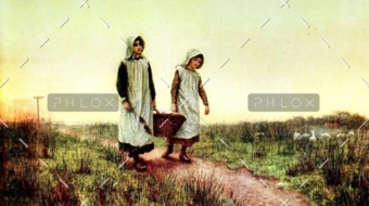 demo-attachment-213-vintage-1898383_1920